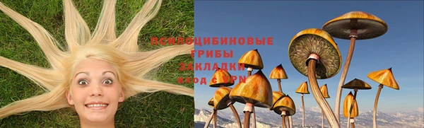 твердый Кулебаки