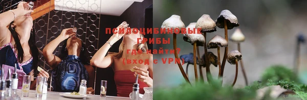 мдпв Краснотурьинск