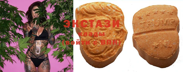 индика Кукмор