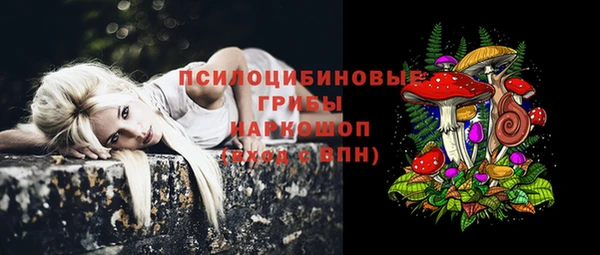 индика Кукмор
