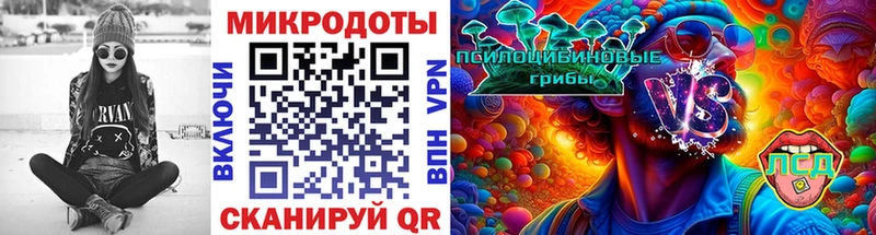 Псилоцибиновые грибы мицелий  Городище 