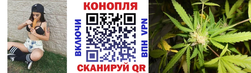 Шишки марихуана гибрид  наркотики  blacksprut зеркало  Городище 